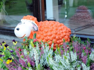 Casa per le vacanze De Cocksdorp Registrazione all'aperto 3