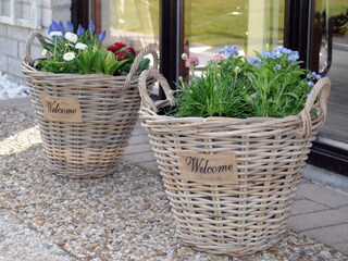 Casa per le vacanze De Cocksdorp Registrazione all'aperto 9