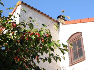 Vakantiehuis De Cocksdorp Grondplan 31