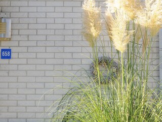 Vakantiehuis De Cocksdorp Grondplan 32