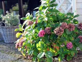 Casa per le vacanze De Cocksdorp Pianta del piano 33