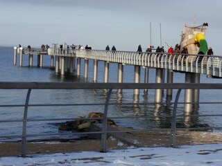 Niendorfer Seebrücke im Winter