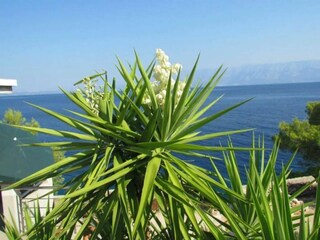 Casa per le vacanze Gdinj Registrazione all'aperto 6