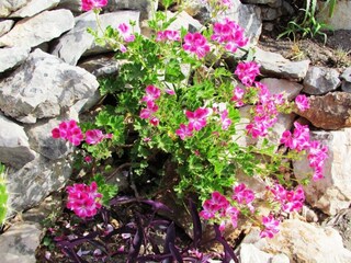 Casa per le vacanze Gdinj Registrazione all'aperto 34