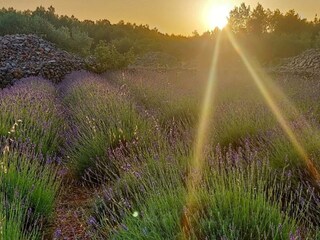 Casa per le vacanze Gdinj Registrazione all'aperto 41