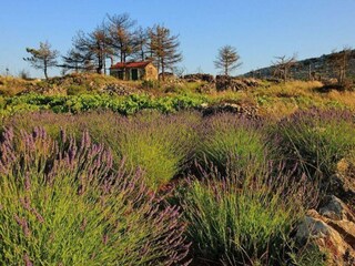 Casa per le vacanze Gdinj Registrazione all'aperto 45