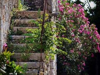 Casa per le vacanze Gdinj Registrazione all'aperto 49