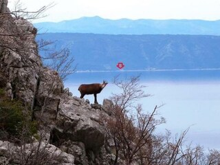 Casa per le vacanze Gdinj Registrazione all'aperto 51