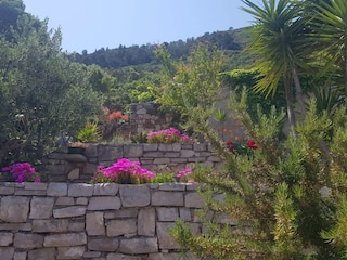 Holiday house Gdinj Outdoor Recording 34