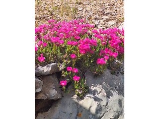 Casa per le vacanze Gdinj Registrazione all'aperto 35