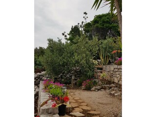 Holiday house Gdinj Outdoor Recording 36