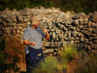 Ferienhaus Gdinj Dokument 45