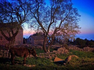 Casa per le vacanze Gdinj Pianta del piano 42