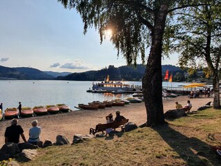 Vakantieappartement St. Märgen Omgeving 35