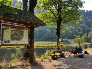 Appartement de vacances St. Märgen Environnement 37