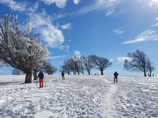 Winterwanderung auf dem Schauinsland