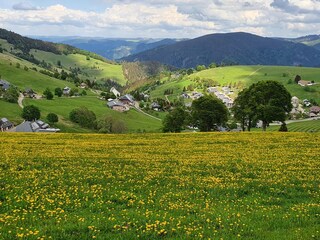 Appartamento per vacanze St. Märgen Ambiente 39