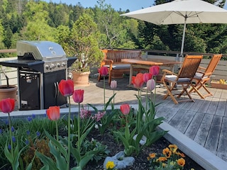 Terrace with gasgrill and few over the Black Forest