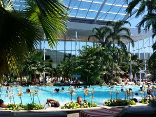 Apartamento de vacaciones St. Märgen Entorno 31