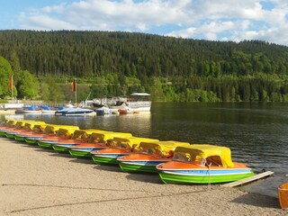 Titisee