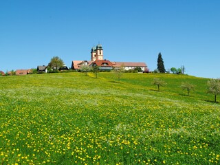 St. Märgen im Frühling