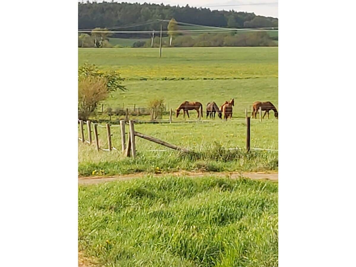 Umgebung von Ferienwohnung