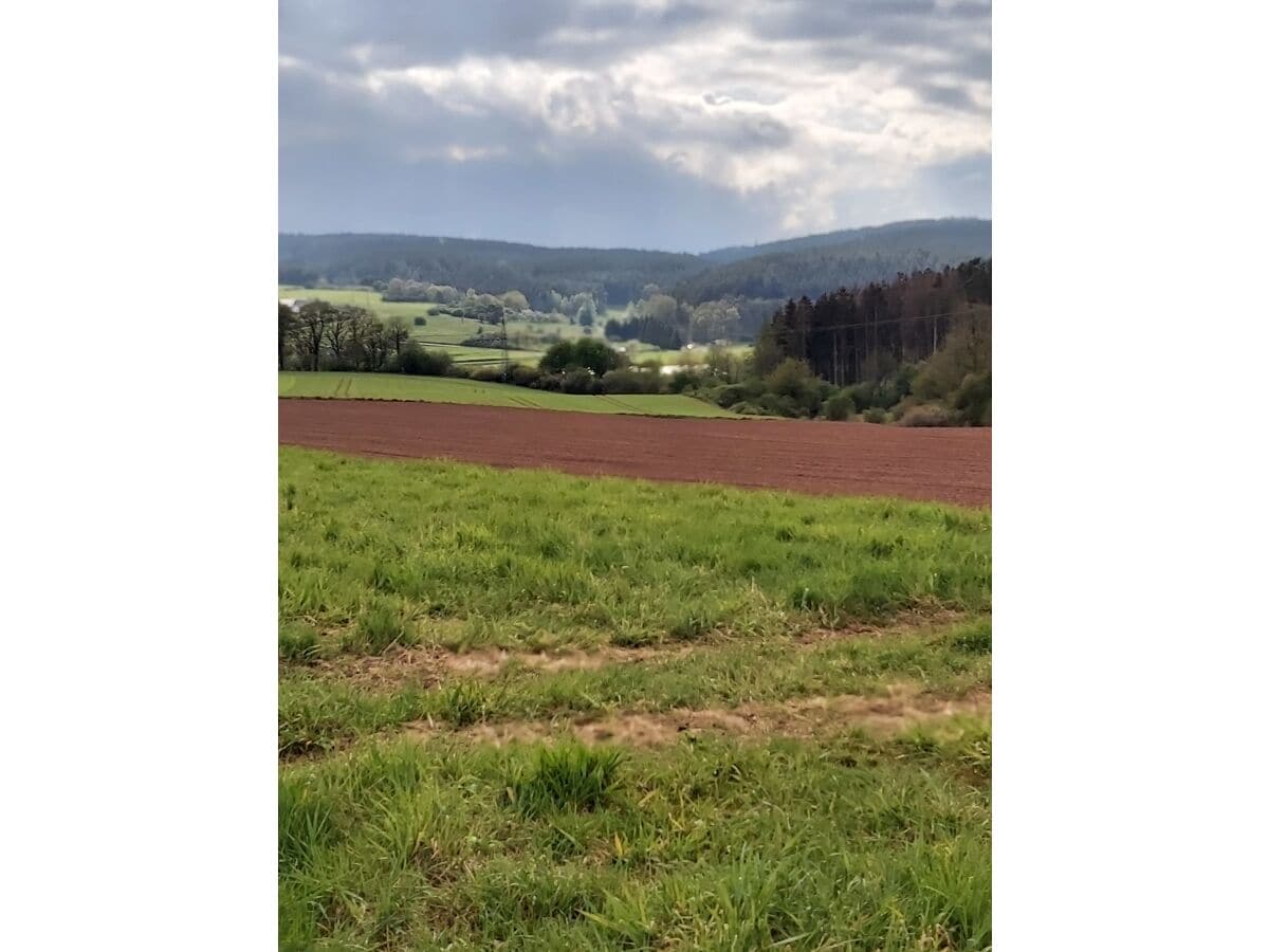 Aussicht nahe Umgebung