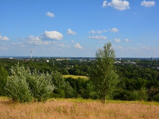 Apartamento de vacaciones Bochum Entorno 27