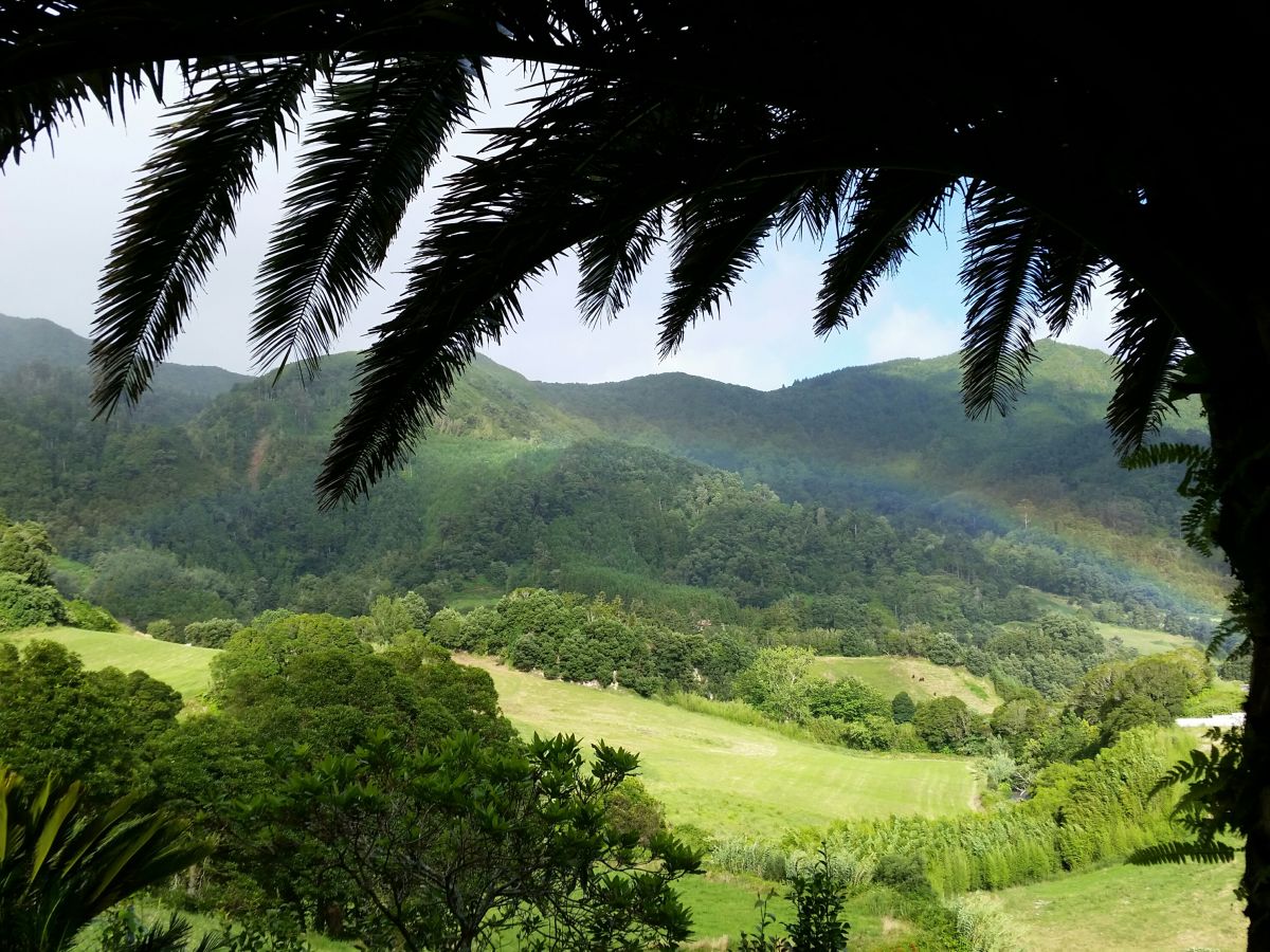 Gartenblick mit Regenbogen