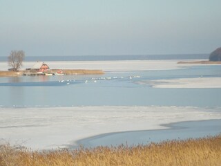 idyllic winter scenery