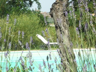 Casa per le vacanze Castiglion Fiorentino  28