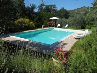 Vakantiehuis Castiglion Fiorentino Buitenaudio-opname 9