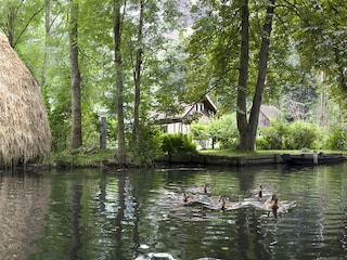 Natur erleben