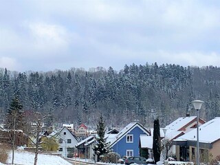Winter Landscape