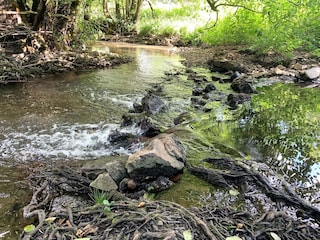 Heimbachaue nature reserve