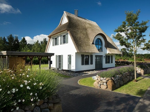 Ferienhaus Schilfrohrsänger 45