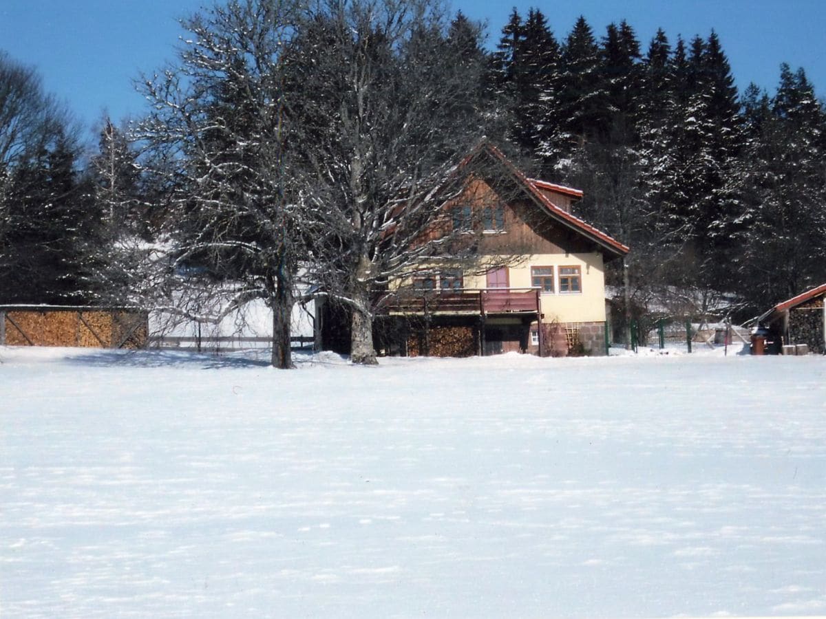 Ferienwohnung Kniebis Außenaufnahme 1