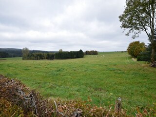 Appartamento Tenneville Ambiente 31