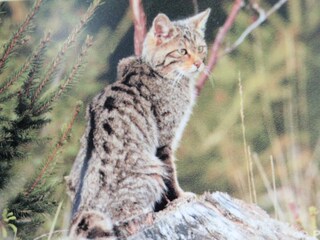 Apartamento Tenneville Entorno 35