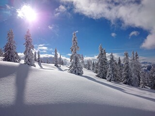 Appartamento per vacanze Mühlbach am Hochkönig Ambiente 19
