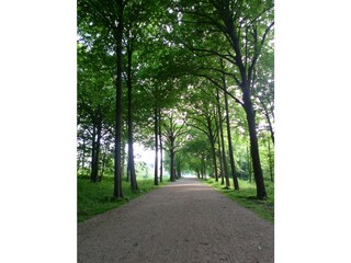 Appartamento per vacanze Oostkapelle Ambiente 12