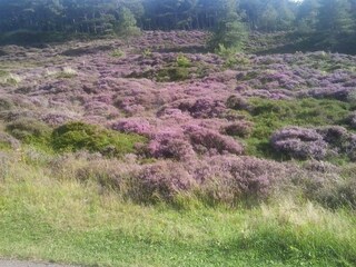 Casa per le vacanze Schoorldam Ambiente 12