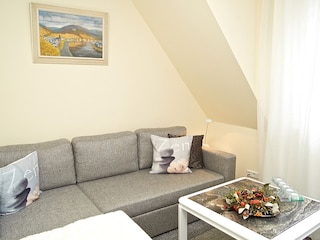 Wohnschlafcouch mit TV