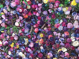 Appartamento per vacanze Welschnofen Registrazione all'aperto 14