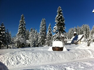 Appartement de vacances Welschnofen Environnement 25