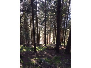 Vakantieappartement Welschnofen Omgeving 28