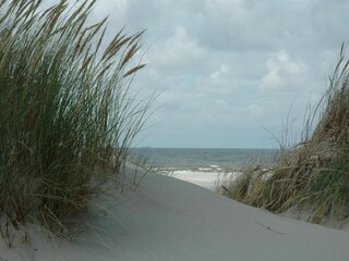 Villa Midsland Entorno 25