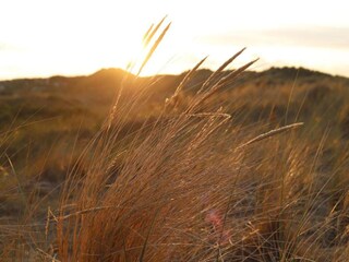 Villa Midsland Entorno 25