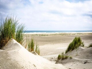 Villa Midsland Environnement 29