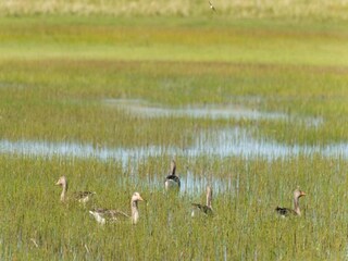 Villa Midsland Omgeving 25